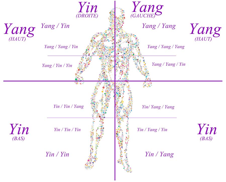 Symbolique douleurs côtés du corps yin yang