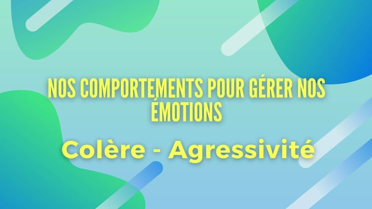 Comportement d'agressivité ou de colère